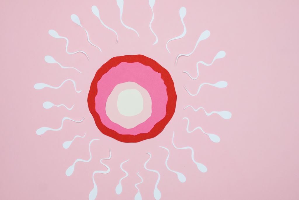 Conceptual art of fertilization with sperm and egg on a pink background.