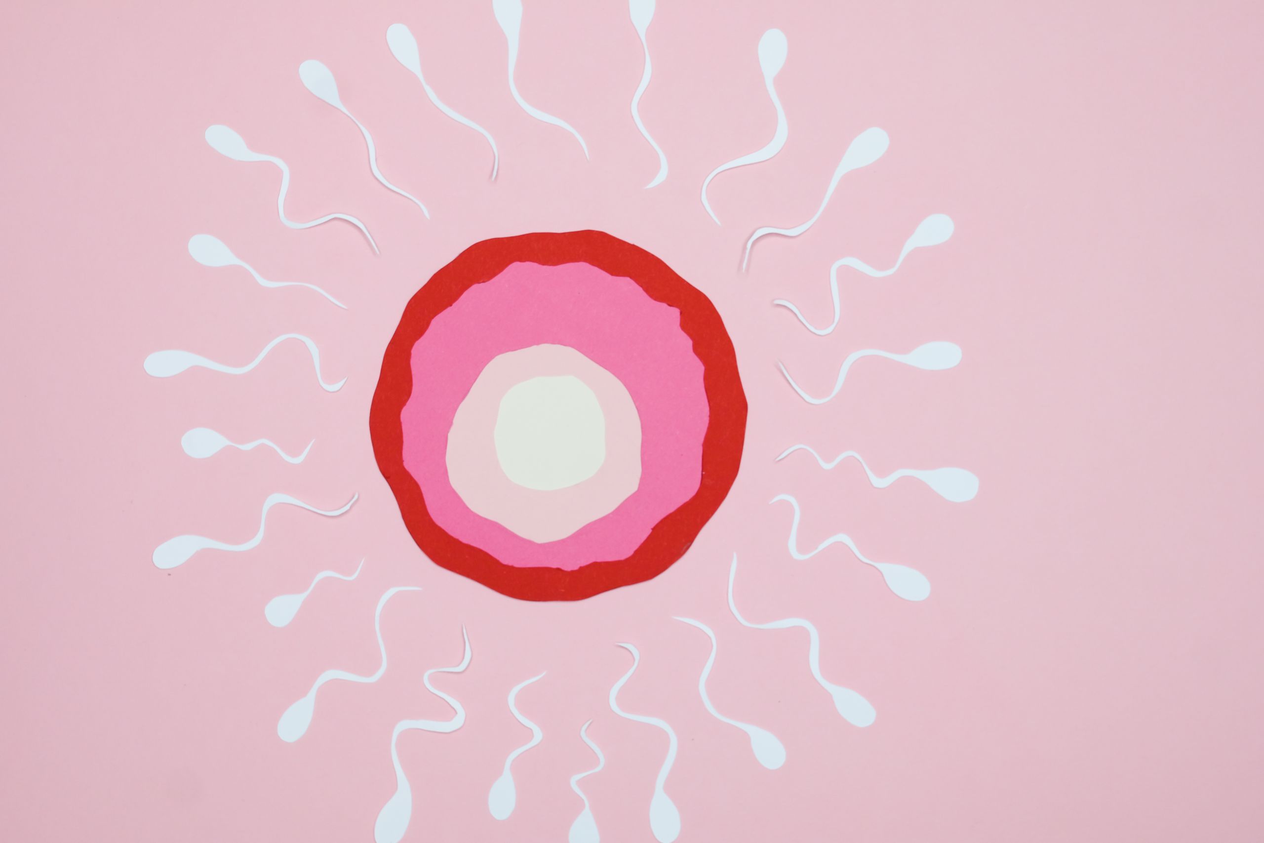 Conceptual art of fertilization with sperm and egg on a pink background.