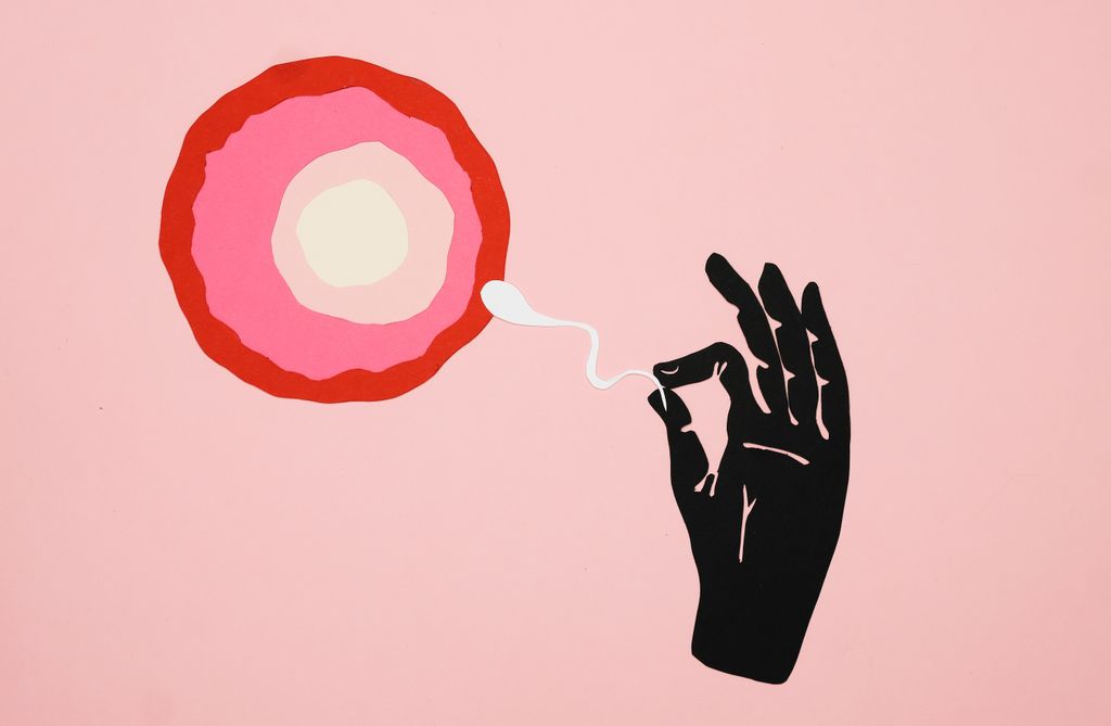 Illustration depicting fertilization with ovum and sperm on a pink background.